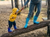 Fase 2, in Veneto le Fattorie Didattiche pronte ad accogliere i bambini