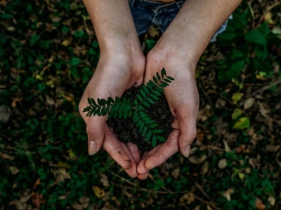 Sostenibilità in casa: come insegnare ai più piccoli ad essere “green”