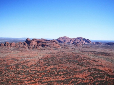 I fiori australiani e le loro proprietà benefiche