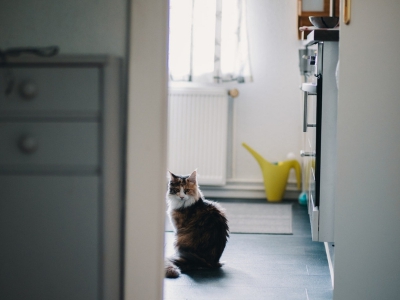 Perché non dobbiamo sentirci in colpa se assumiamo un aiuto per le pulizie domestiche