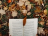 Autunno: i più bei libri da leggere